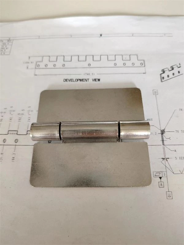 OEM Stainless Steel Hinges For Doors