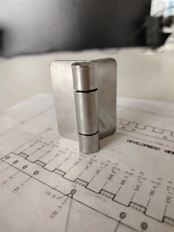 OEM Stainless Steel Hinges For Doors